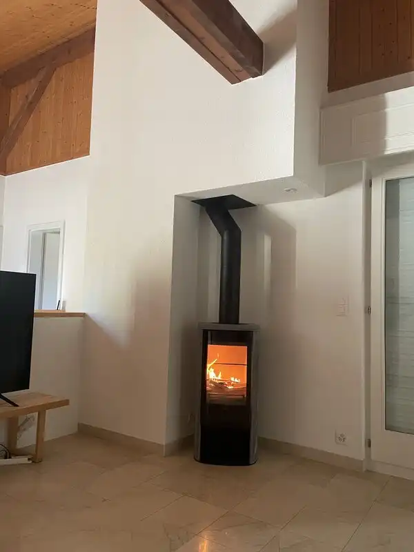 Poêle à bois_Thônex