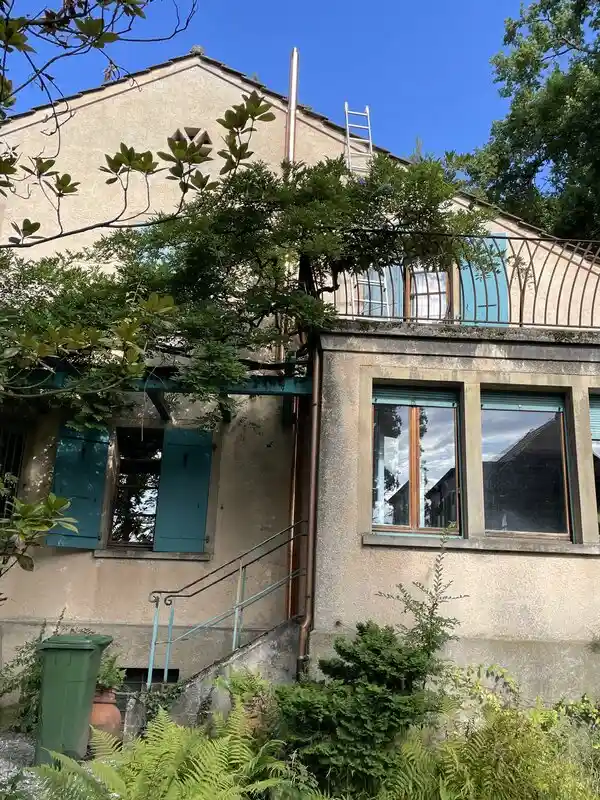 Tubage chaudière cuivre en façade_Servette